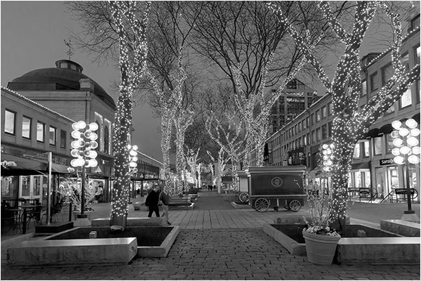 Night Lights