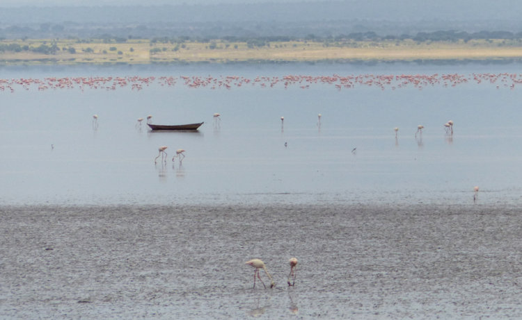 LAKE MANYARA VISTA