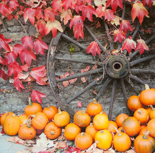 Autumn Harvest