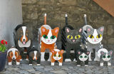 Cats & Dogs