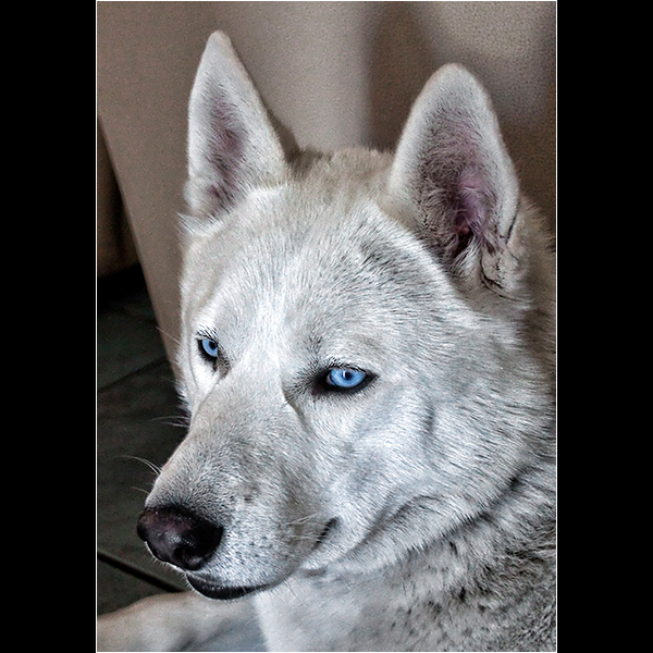 Blue Eyes