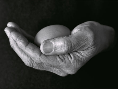 Handle With Care