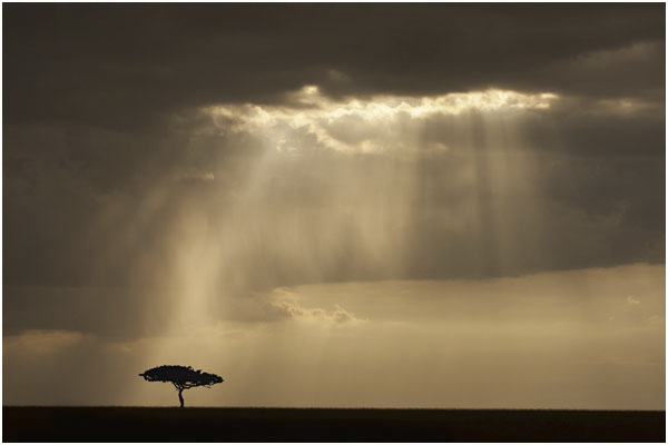 RAYS OF LIGHT