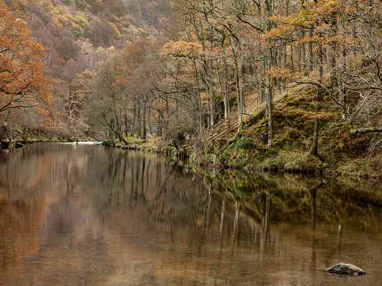 AUTUMN REFLECTIONS