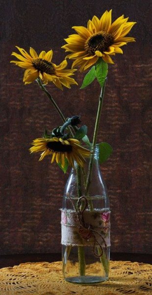 Sunflowers
