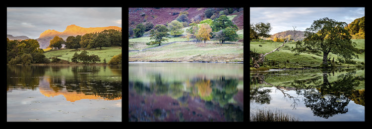 Tarn Reflections