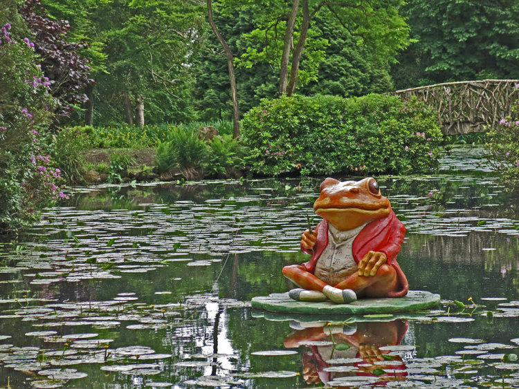 Toad Of Tatton Hall