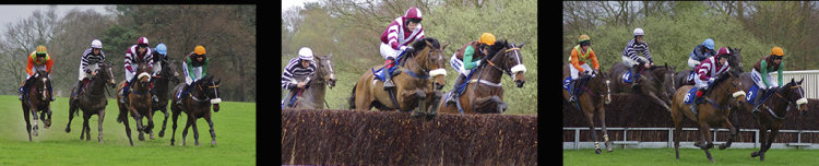 OVER THE JUMPS