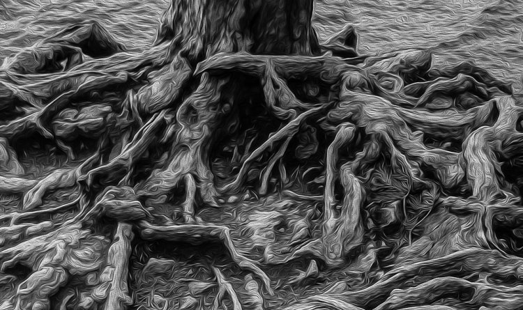 ROOTS