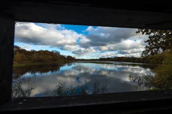 Whisby Nature Park