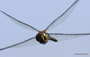 In flight II