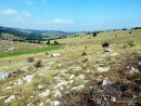 Causse Méjean