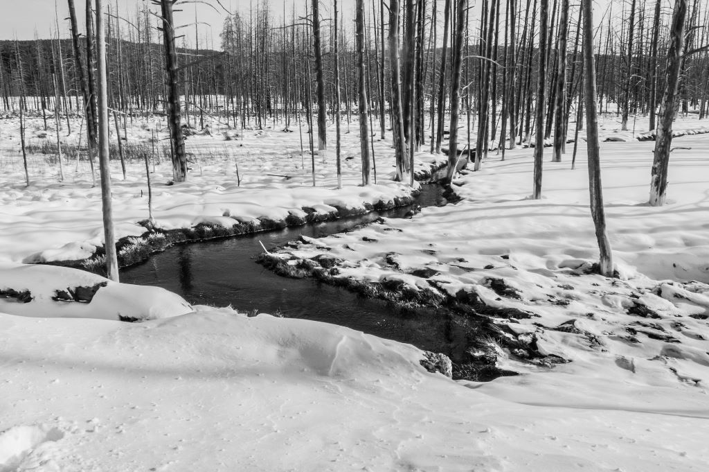 Yellowstone