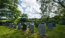 A View to die for Pamela Bruce Lockhart