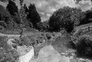 Alham Vale Jenny Short