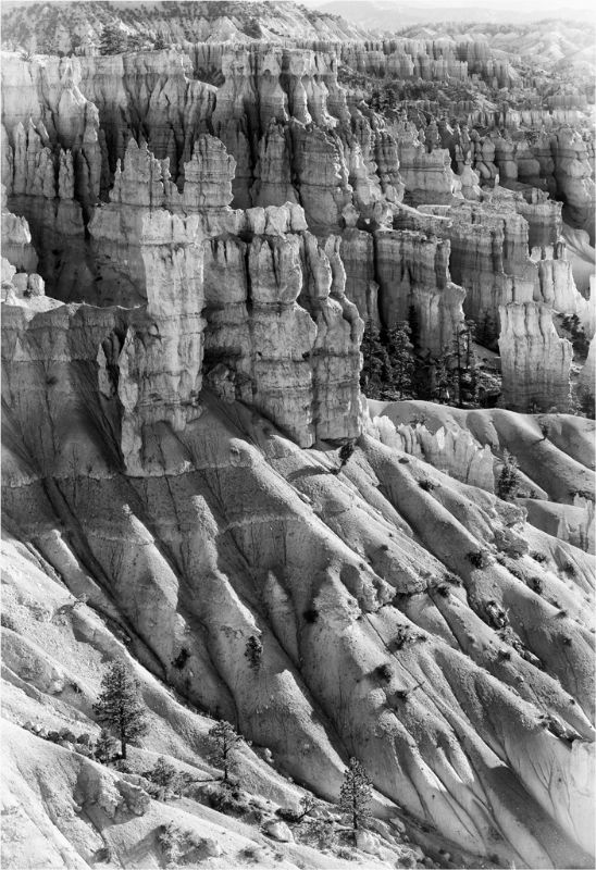 Bryce Canyon Hoodoos