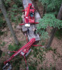 CTree Machinery Diana Walker