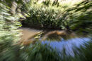 Camera walk Pamela Bruced Lockhart