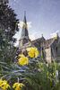 Church and daffodills Jill Toman