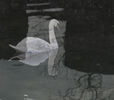 Double Dignity Pamela Bruce Lockhart