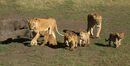 Family Outing 2 Jill Toman