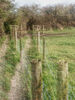 Fence