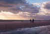 IMG 0582 web