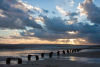 IMG 0602 Web