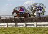 Ivy Goacher Point To Point