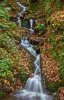 Ivy Goacher Waterfall