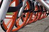 Jane Richardson Orange Wheels HC