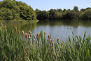 Litton Lake Tony Nineham