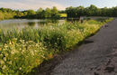 Litton Reservoir Janice Cuer