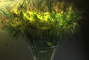 Mixed flowers in vase Graham Nicholls