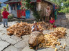 Namaste Nepalese Village