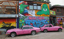 Pink Janice Cuer