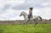 Priddy Fair Rider