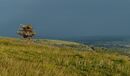 Stoke Camp Jane L (1)