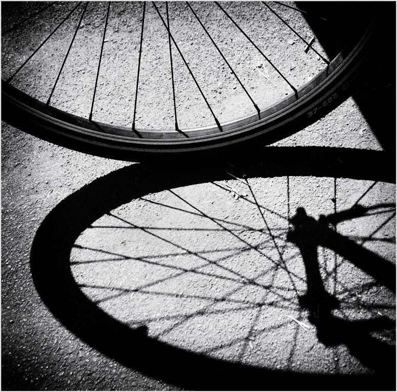Suzanne Ladd Spokes and Wheels HC