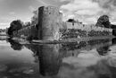 The Moat Janice Cuer