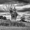 The Witch of West Harptree 2 Jill Toman
