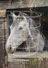 Trapped horse Jill Toman