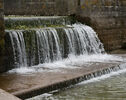 Weir Jane R (1)