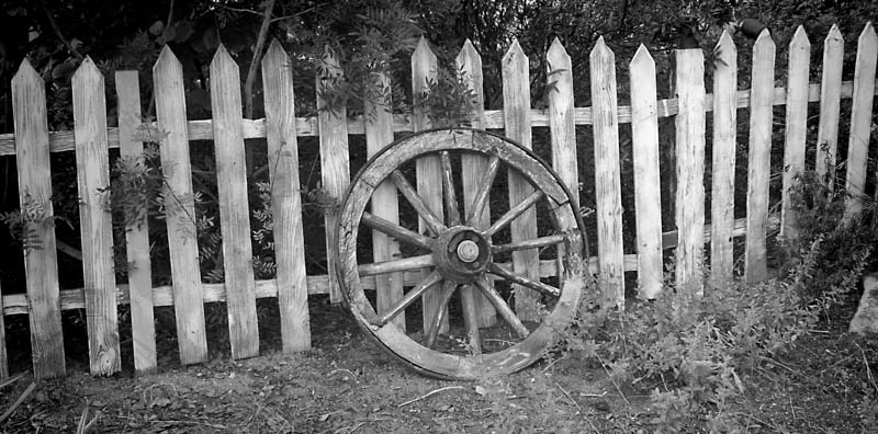 wheel & fence