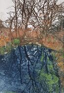 brown trees reflected in blue water