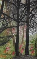 Silhouettes of trees in front of a colourful vegetation