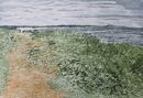 The Beach Path green grass and other plants with a sandy pathway and headland in the distance