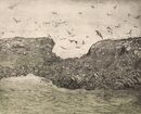Birdlands (Farne Islands) Grey and olive rocks in the sea with birds flying