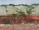 red and white cliffs with green vegetation and red sand