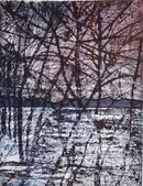 Winter Trees at the edge of a lake in late afternoon